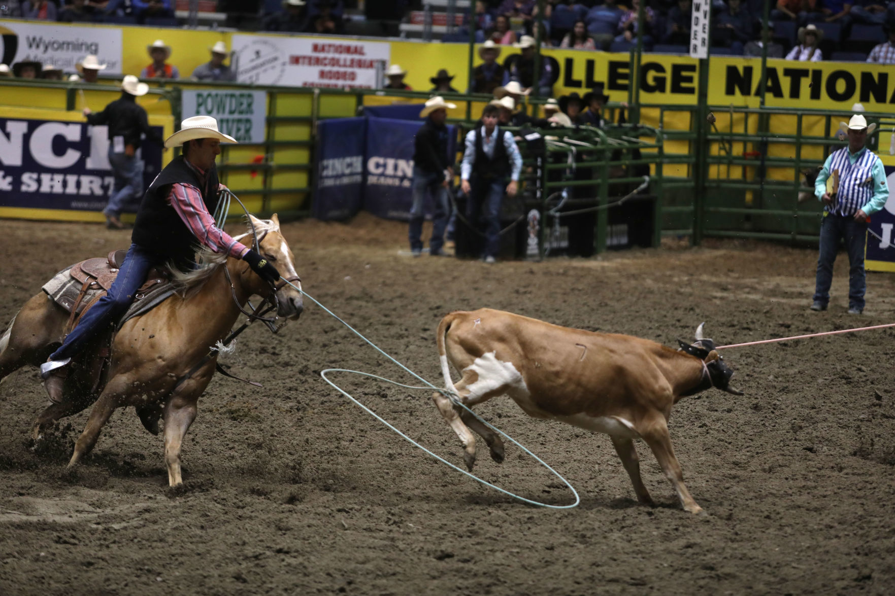 CNFR: Friday